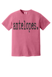 Antelopes Typography Comfort Colors Tee